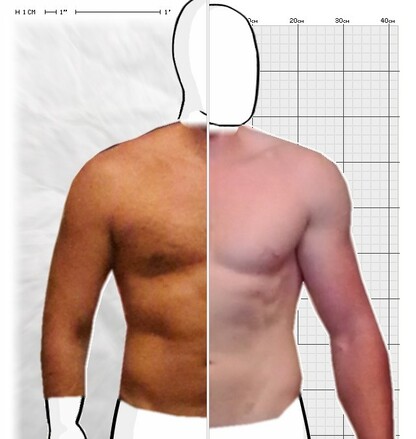 Torso Comparison