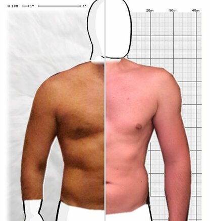 Torso Comparison
