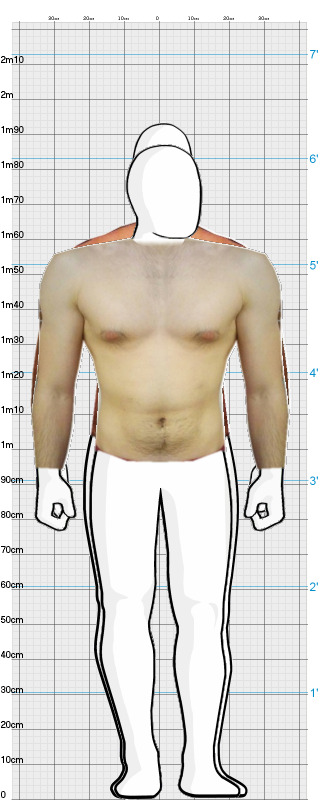 Full Size Comparison