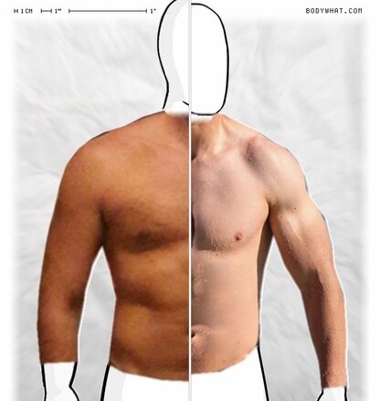 Torso Comparison