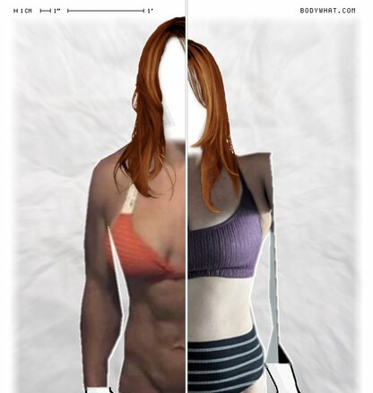 Torso Comparison