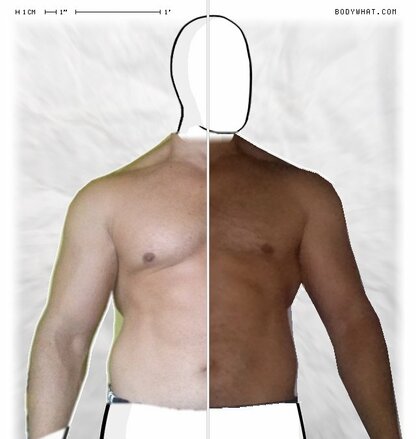 Torso Comparison