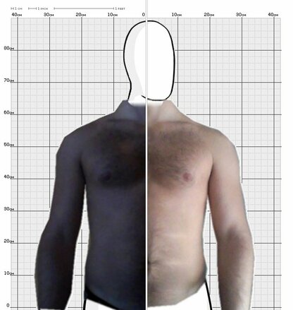 Torso Comparison