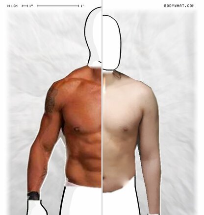 Torso Comparison