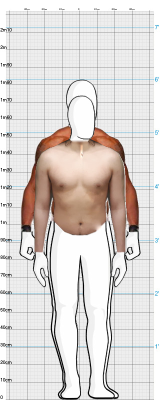 Full Size Comparison