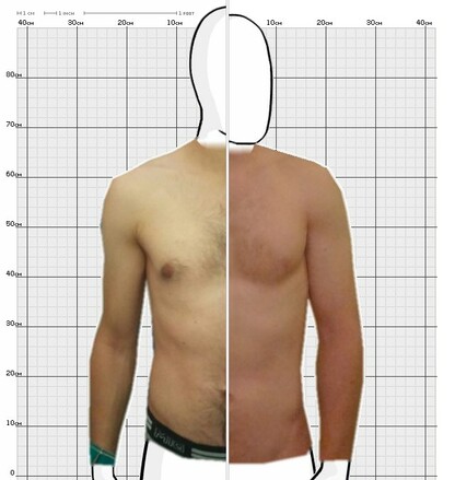 Torso Comparison