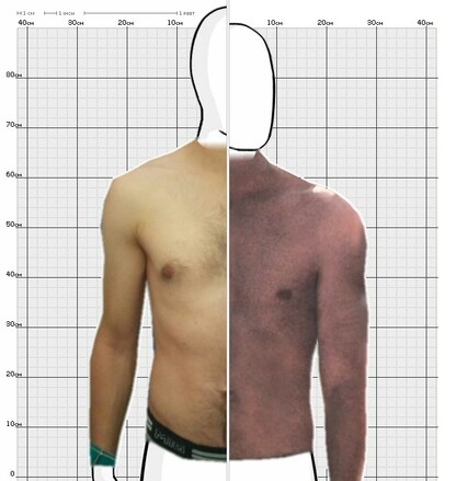 Torso Comparison