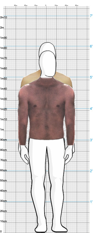 Full Size Comparison