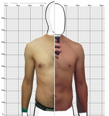 Torso Comparison