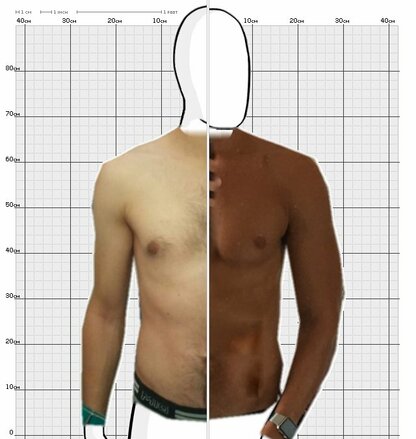 Torso Comparison