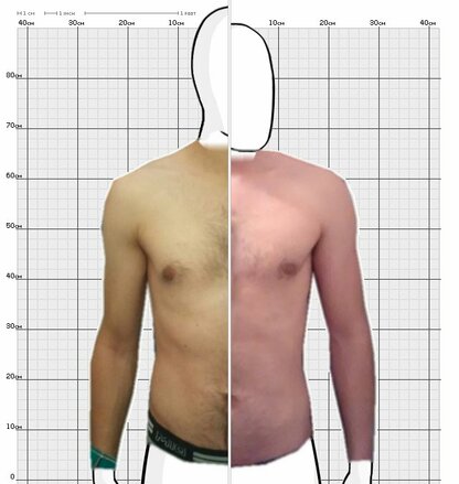 Torso Comparison