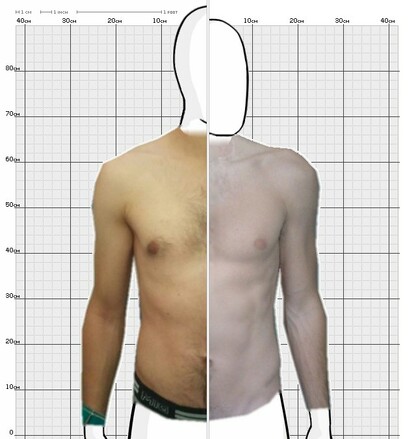 Torso Comparison