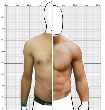 Torso Comparison