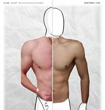 Torso Comparison