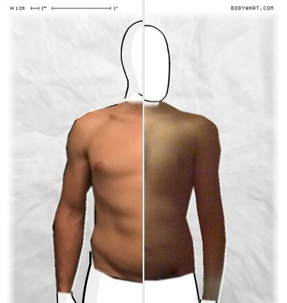 Torso Comparison