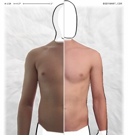 Torso Comparison