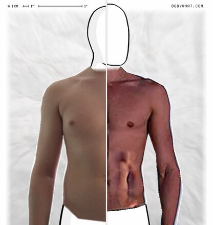 Torso Comparison