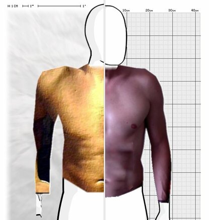 Torso Comparison