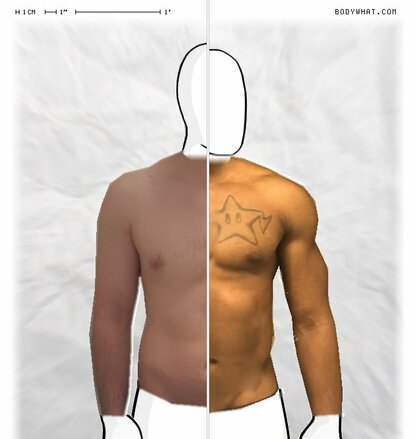 Torso Comparison