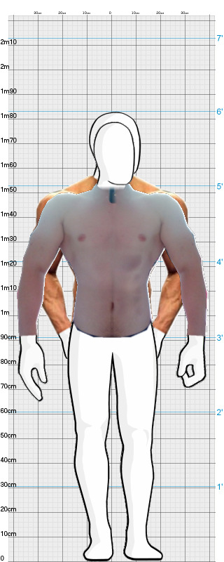 Full Size Comparison