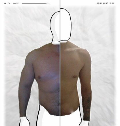 Torso Comparison