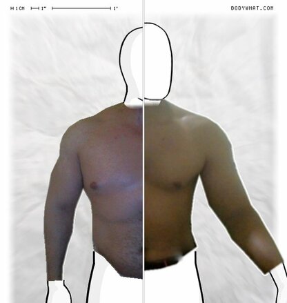 Torso Comparison