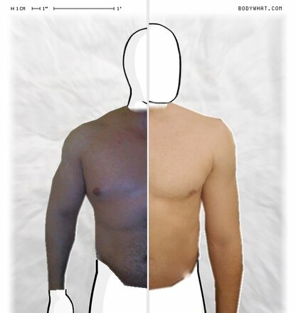 Torso Comparison