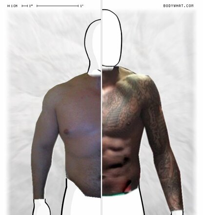 Torso Comparison