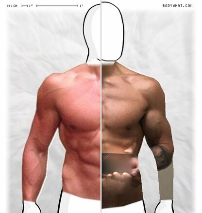 Torso Comparison