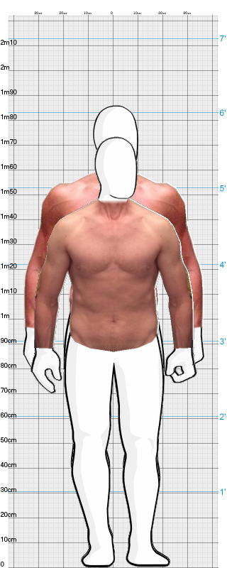 Full Size Comparison