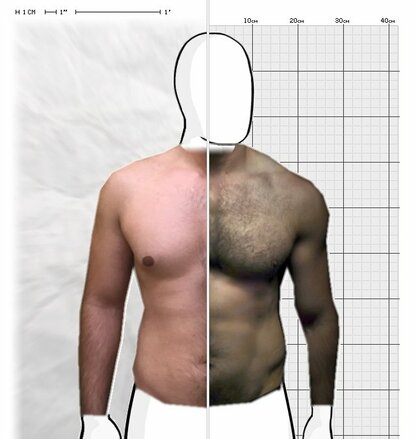 Torso Comparison