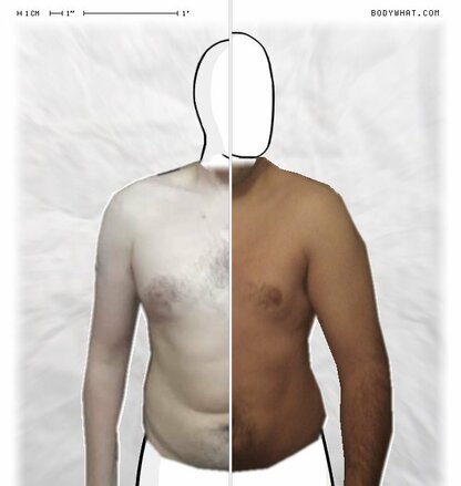 Torso Comparison