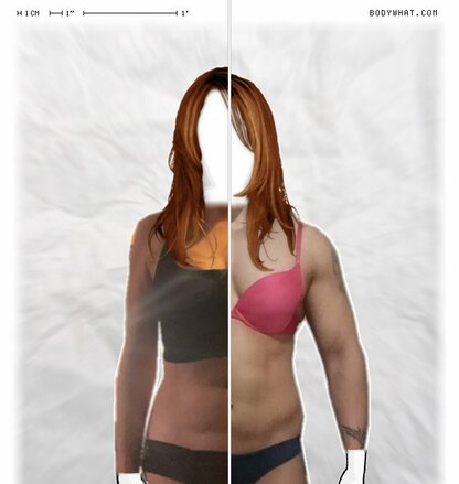 Torso Comparison