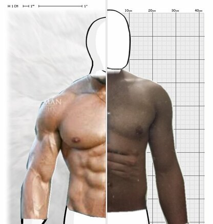 Torso Comparison