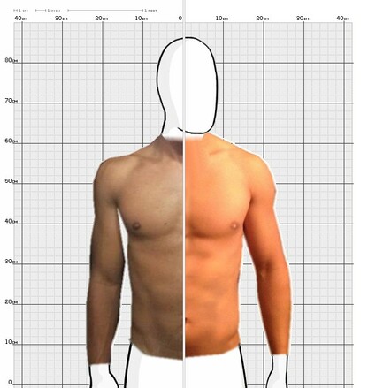 Torso Comparison