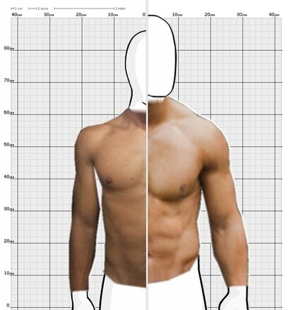 Torso Comparison