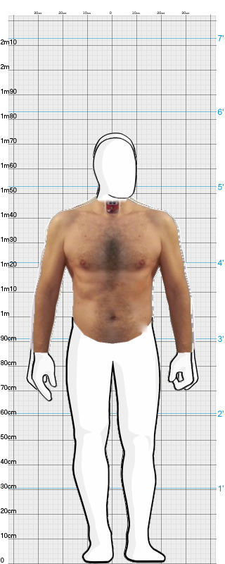 Full Size Comparison