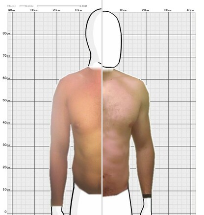 Torso Comparison