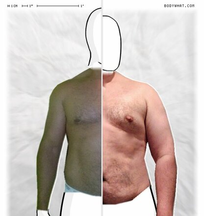 Torso Comparison