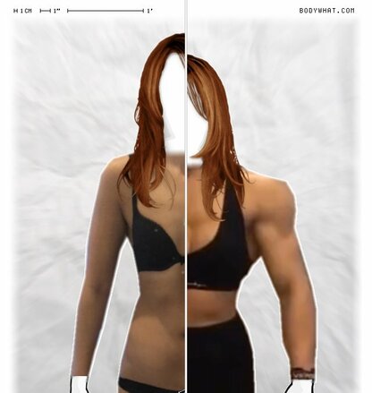 Torso Comparison