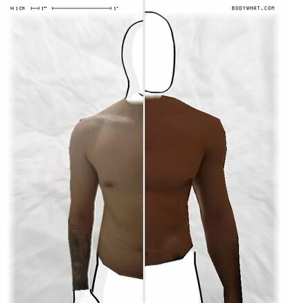 Torso Comparison