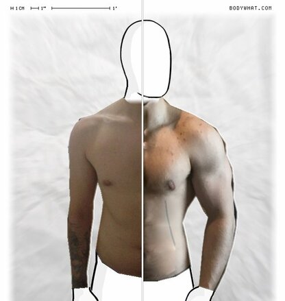 Torso Comparison