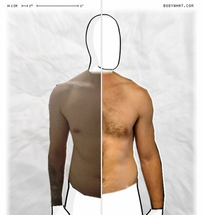 Torso Comparison