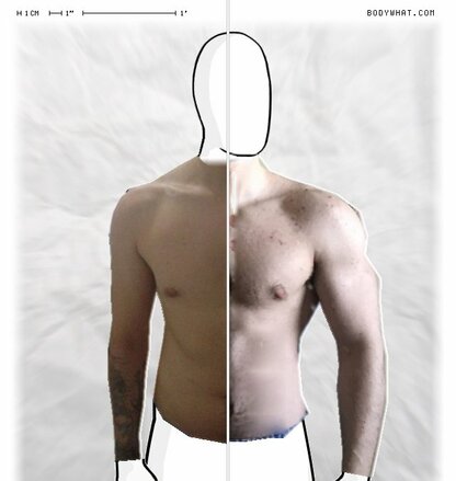 Torso Comparison