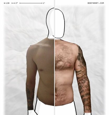 Torso Comparison