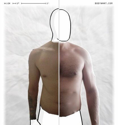 Torso Comparison