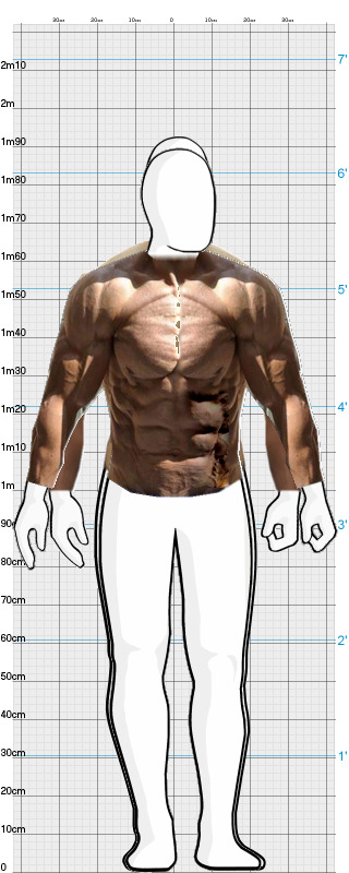 Full Size Comparison