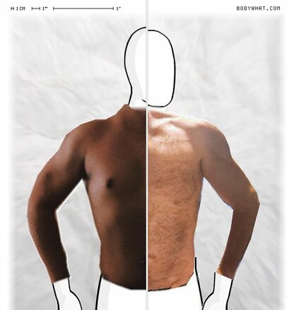 Torso Comparison