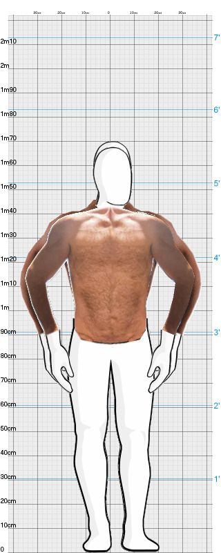 Full Size Comparison