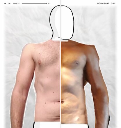 Torso Comparison